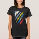 Buscar bandera argentina ropa Rayas