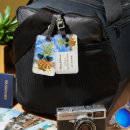 Buscar gafas etiquetas para maletas General y unisex