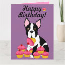 Buscar perro del terrier de boston tarjetas Animales