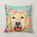 Buscar perros perdigueros de oro cojines Perro perdiguero