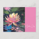 Buscar lillies Agua