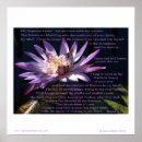 Buscar shui del feng posters Espiritualidad