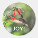 Buscar colibri imanes Naturaleza