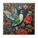 Buscar colibrí azulejos Pájaros