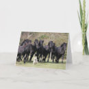 Buscar raza del caballo tarjetas Bob langrish