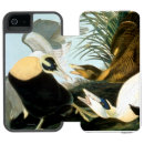 Buscar pintura del pájaro iphone fundas Pato