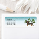 Buscar wild boar postales Dachshund