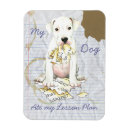 Buscar argentino imanes Dogo