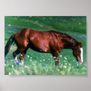 Buscar caballo español posters Mustang