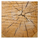 Buscar corteza de árbol azulejos Tronco