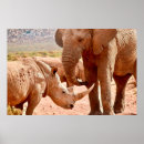 Buscar rinoceronte arte Elefante