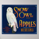 Buscar cesta de fruta posters General y unisex