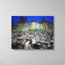 Buscar abundancia lienzos Botánico