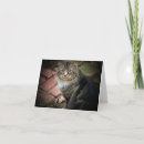 Buscar gato del rescate tarjetas Fotografía