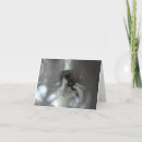 Buscar smoking tarjetas Blanco