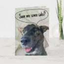 Buscar perro del ganado tarjetas General y unisex