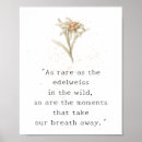 Buscar flor alpina posters Edelweiss