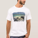 Buscar phi camisetas Arena