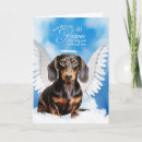 Buscar doxies mascotas General y unisex