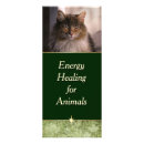 Buscar animal tarjetas publicitarias Gato