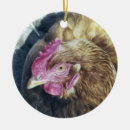 Buscar gallina adornos Animales de granja