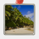 Buscar palm beach adornos Exterior