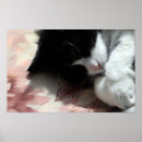 Buscar nariz posters Adorable