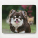 Buscar headshot alfombrillas de raton Fotógrafo canino