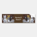 Buscar spay pegatinas parachoque Gatos