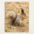 Buscar naturaleza agendas Para ellos