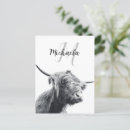 Buscar vaca postales escocés
