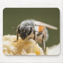 Buscar colmena alfombrillas de raton Ratón