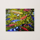 Buscar pescados del koi puzzles Goldfish