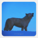 Buscar lobo blanco pegatinas Invierno