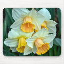 Buscar narcisos alfombrillas de raton Jardín