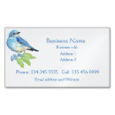 Buscar bluebird tarjetas de visita Naturaleza