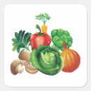 Buscar vida vegetal pegatinas Verduras