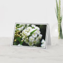 Buscar primero plano tarjetas Fotografía