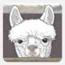 Buscar alpinismo postales Para todos