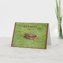 Buscar lentes tarjetas General y unisex