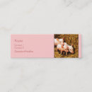 Buscar cochinillo tarjetas de visita Rosa