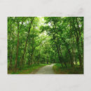 Buscar grillo postales Bosque