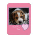 Buscar perro rosado imanes Cachorro