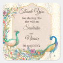 Buscar pavo pegatinas Del pavo real