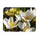 Buscar bendiga imanes Flores
