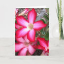 Buscar espacio en blanco floral tarjetas Foto