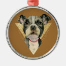 Buscar mi pitbull decoracion Amantes del perro