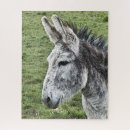 Buscar burros puzzles Animal