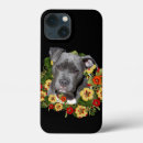 Buscar pitbull iphone fundas Amante de pitbull