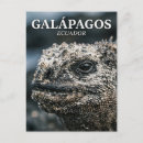 Buscar galápagos postales Viaje